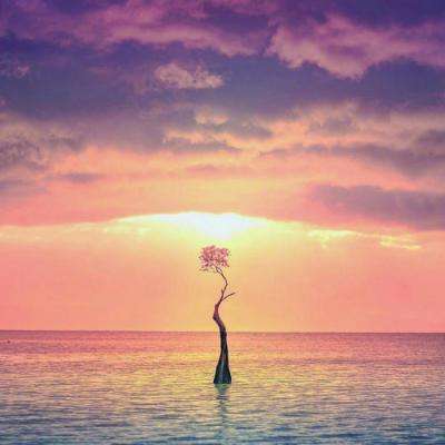 金年会电子游戏app